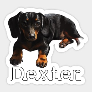 Dexter Boy Sticker